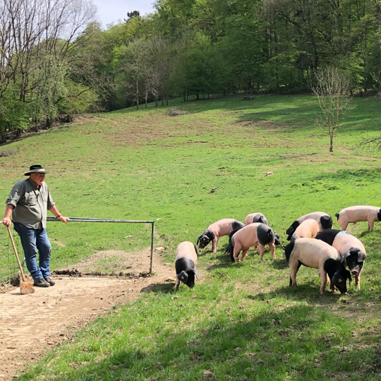 Familie Bühler Familie Bühler