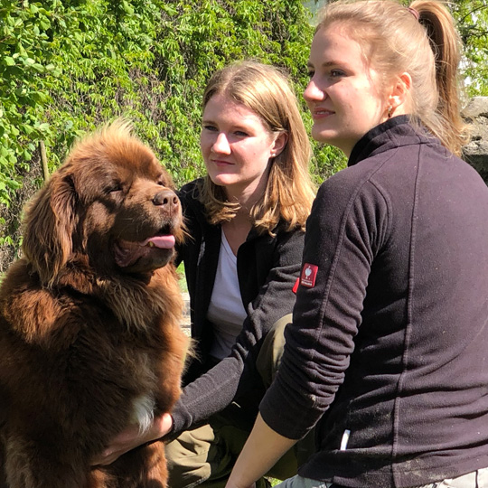 Familie Franz Familie Franz