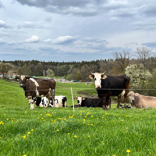 Familie Jäger Familie Jäger
