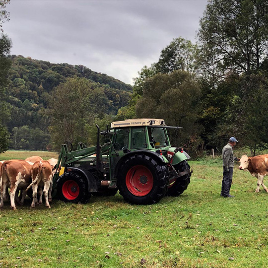 Familie Neber Familie Neber