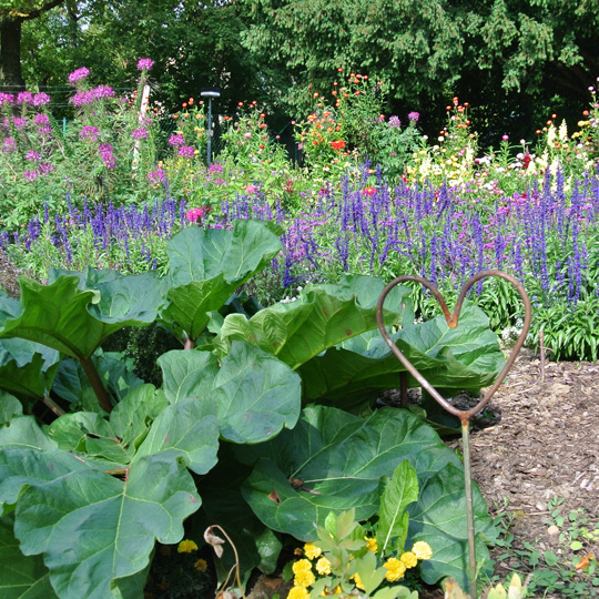 Klinikum am Weißenhof Klinikum am Weißenhof