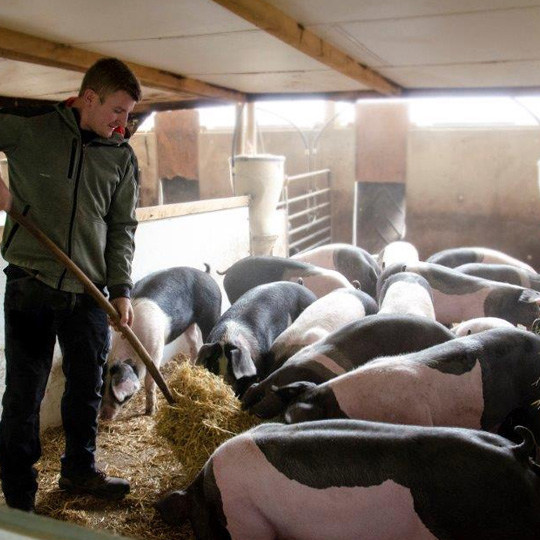 Familie Strecker Familie Strecker