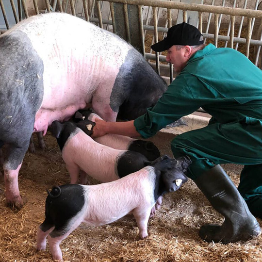 Freilichtmuseum Wackershofen Freilichtmuseum Wackershofen