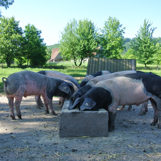 Freilichtmuseum Wackershofen Freilichtmuseum Wackershofen