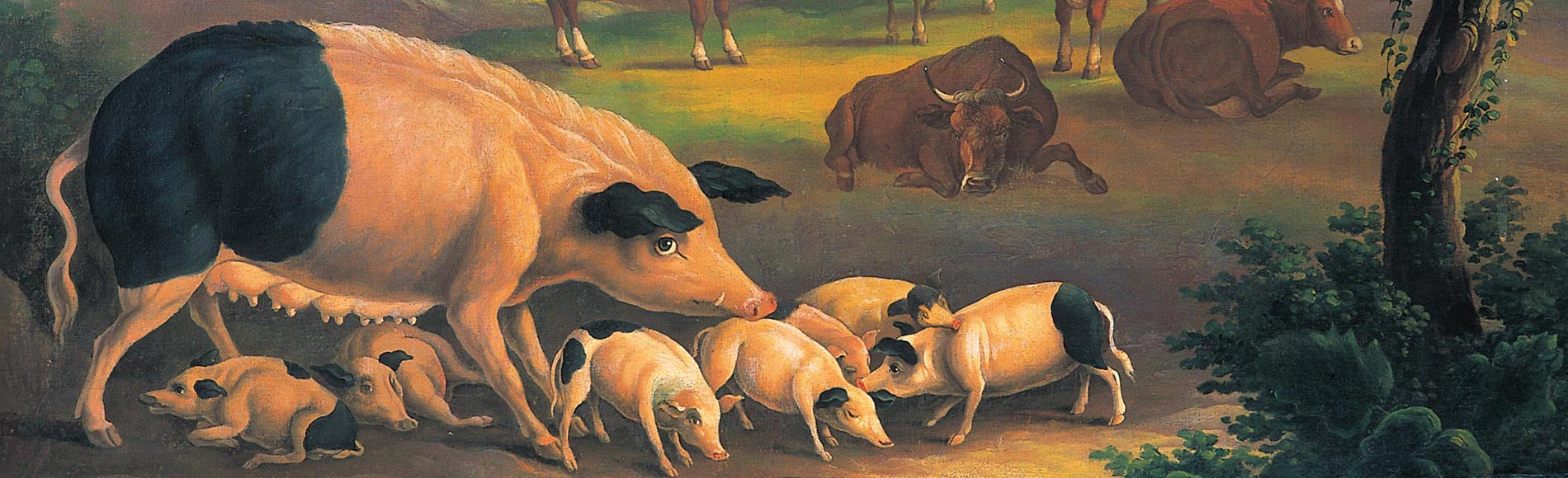 Luftbild Erzeugerschlachthof Schwäbisch Hall