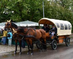 Hoffest der Familie Bühler | Markttreiben | Kutschfahrten