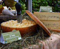 Hoffest der Familie Bühler | Markttreiben | Dorfkäserei Geifertshofen