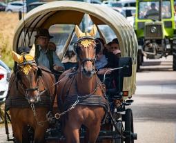 Hoffest Kutsch- und Traktorfahrt