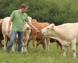 Fotogalerie von boeuf de Hohenlohe