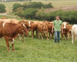 Fotogalerie von boeuf de Hohenlohe