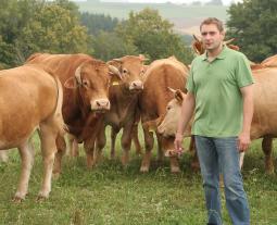 Fotogalerie von boeuf de Hohenlohe