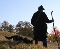 Fotogalerie vom Hohenloher Lamm
