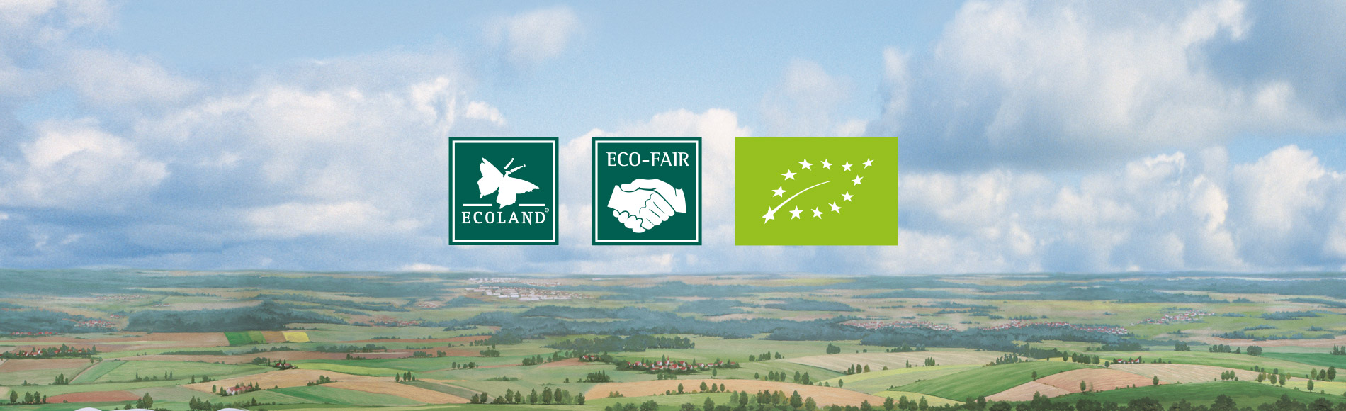 Bild zeigt Schwäbisch-Hällische Landschweine auf der Weide